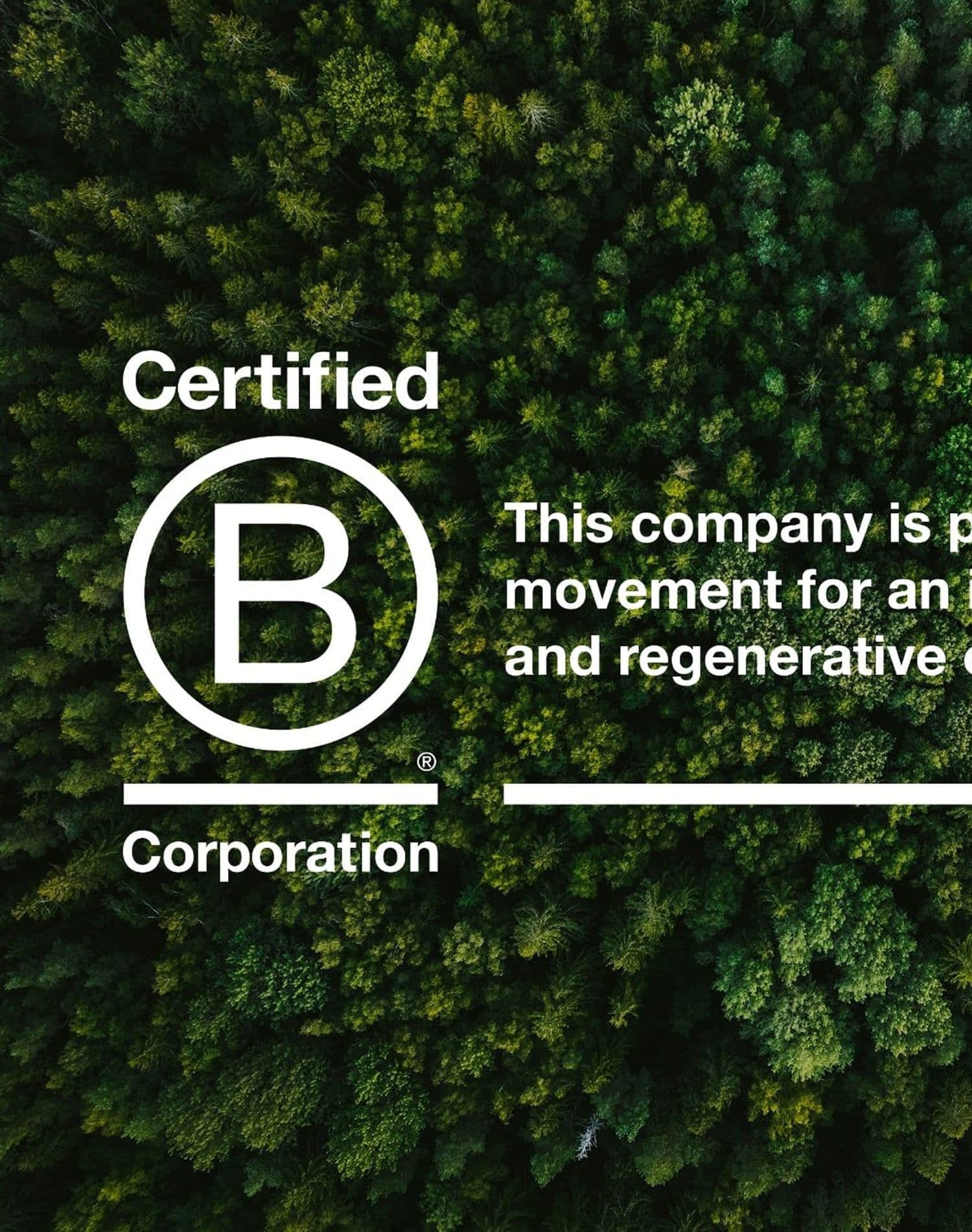 B Corp Bins - Method's Certified!